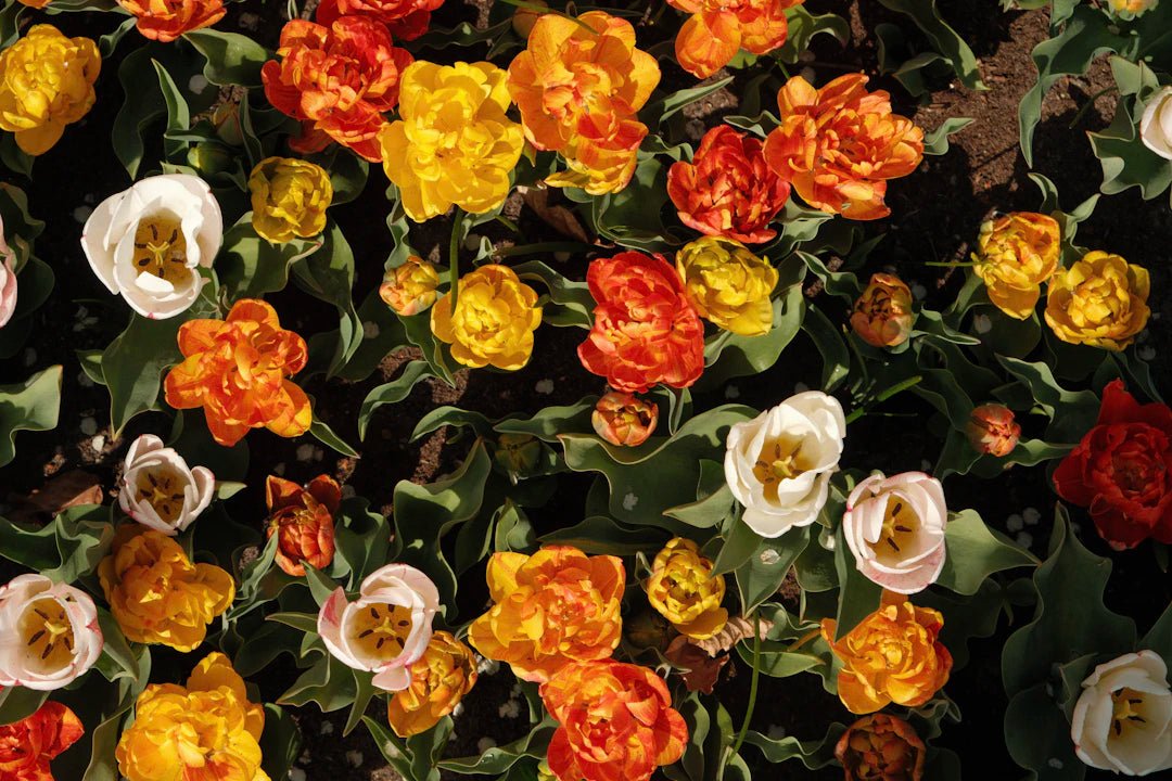 Motifs à la mode pour le printemps/été 2024 - parlezmode.com