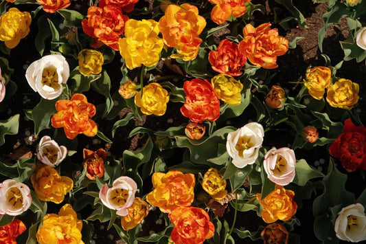 Motifs à la mode pour le printemps/été 2024 - parlezmode.com