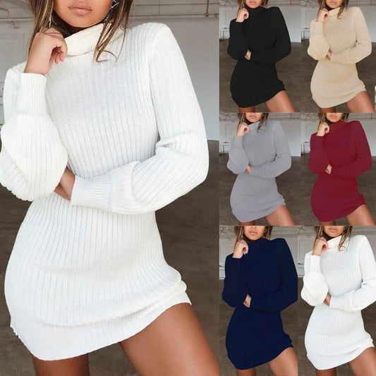 Céleste Robe Col Roulé Ajustée