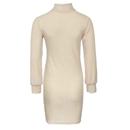 Céleste Robe Col Roulé Ajustée